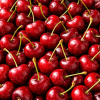 Cerise