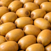 Kiwi jaune