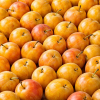 Mirabelle