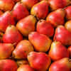 Poire Williams rouge