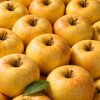 Pomme Chantecler