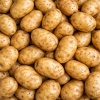 Pomme de terre primeur Monalisa